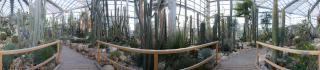 Palmengarten (2)