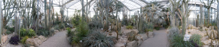 Palmengarten (3)