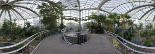 Palmengarten (4)