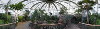 Palmengarten (5)
