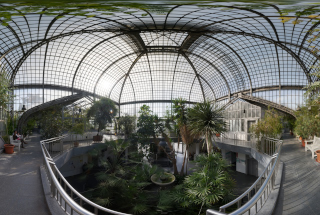 Palmengarten (7)