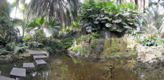 Palmengarten (8)