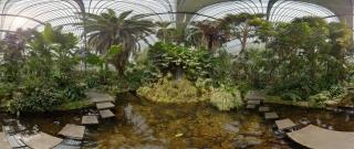 Palmengarten (28)