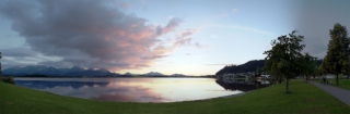 Hopfen am See (7)