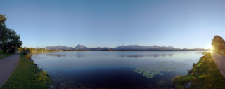 Hopfen am See (1)