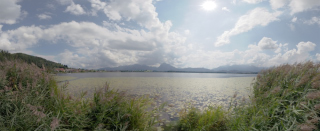 Hopfen am See (4)