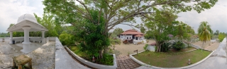 Rice Garden (6)