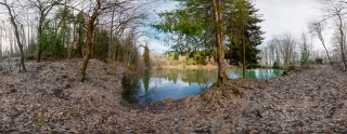 Röhn (12)