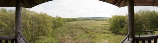 Rhön (9)