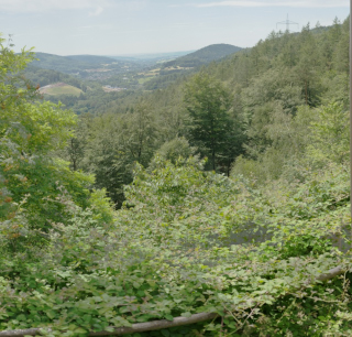 Haigenbrucken (1)