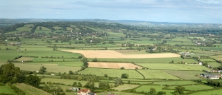 Glastonbury (3)