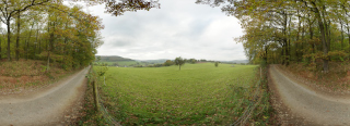 Waldmichelbach