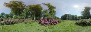 Wolfsgarten (Langen) (2)